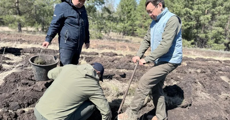 Акция Таза бейсенбі формирует новое отношение к природе