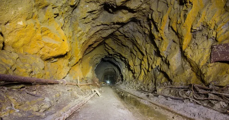 Уголовную ответственность для чёрных старателей планируют ввести в Казахстане