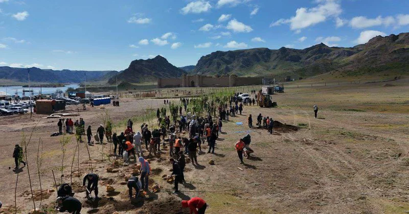 Благоустраивается город номадов