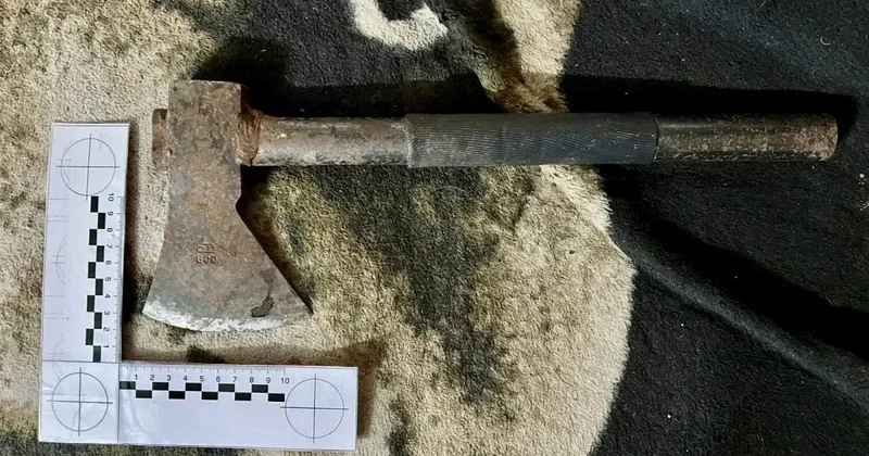 Рецидивист, зарубивший знакомую топором, получил всего 11 лет