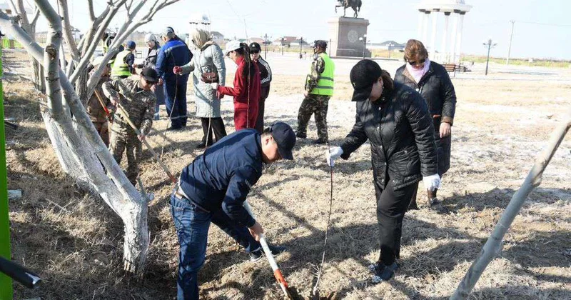 В Приаралье становится больше зеленых зон