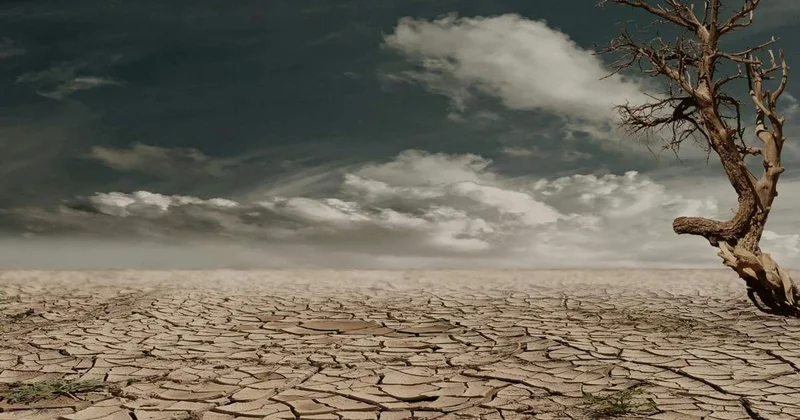 Жердің тозуы мен шөлейттенуге қарсы Қазақстан қалай күресіп жатыр