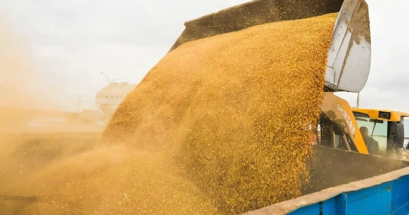 Ақмола облысында 300 млрд теңгеге астықты терең өңдеу зауыты салынады