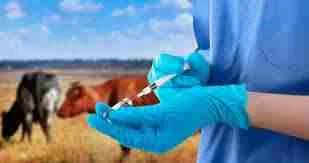 Ветеринария мамандарын қолдауға 22 млрд теңге бөлуді жоспарлап отыр