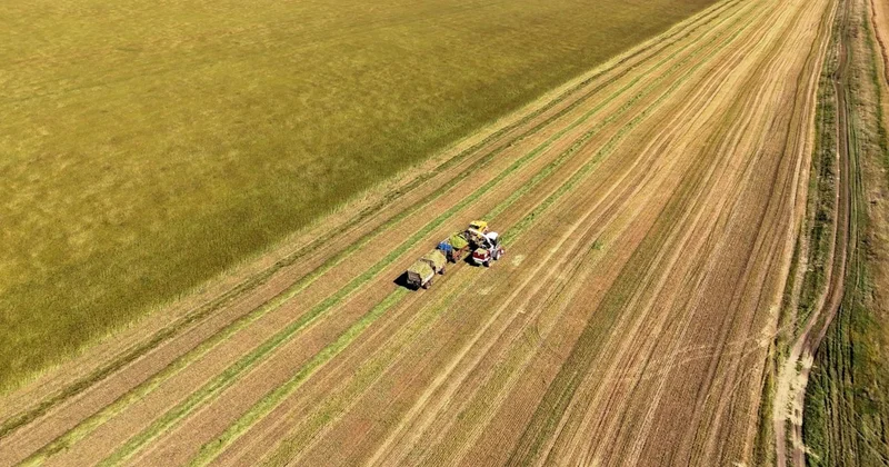 Еліміздің аграрлық өндірісі айтарлықтай өскен