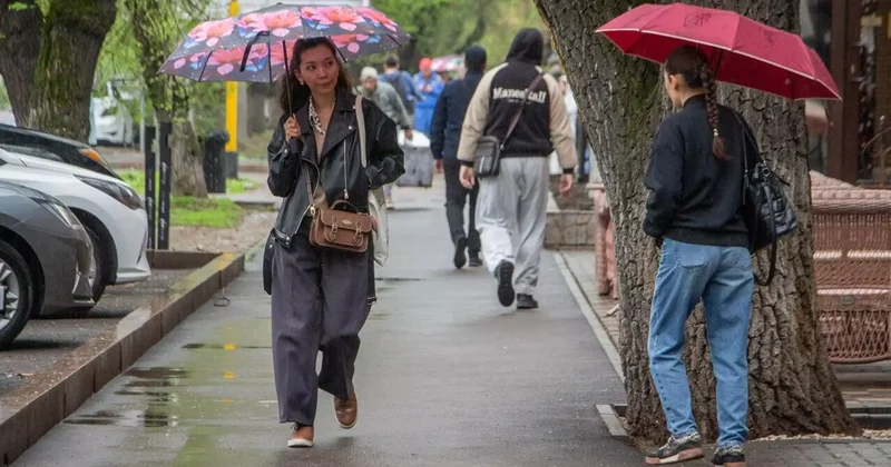 Нөсер жаңбыр мен екпінді жел: үш күндік ауа райы болжамы жарияланды