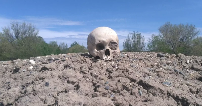 Атырау облысында адам сүйегі шашылып жатыр: әкім не дейді