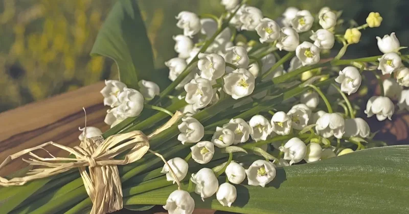 От +44°C до заморозков: каким будет май в Казахстане, рассказали синоптики