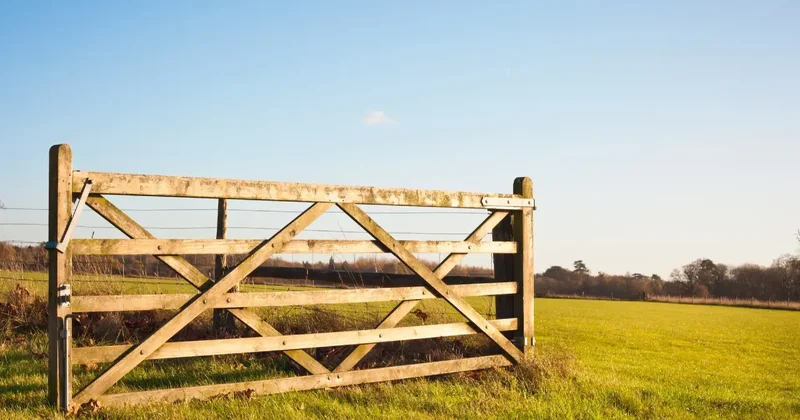 Аферу с льготными кредитами на 211 млн тенге раскрыли в Абайской области