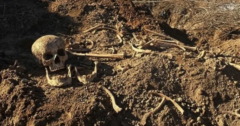 Человеческие останки обнаружили в степи Атырауской области