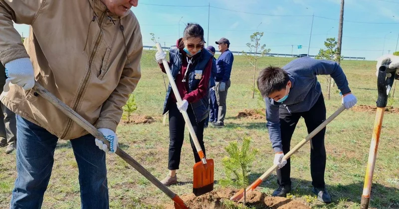 Қазақстанда эковолонтерлер қозғалысы кең қанат жайып келеді Президент