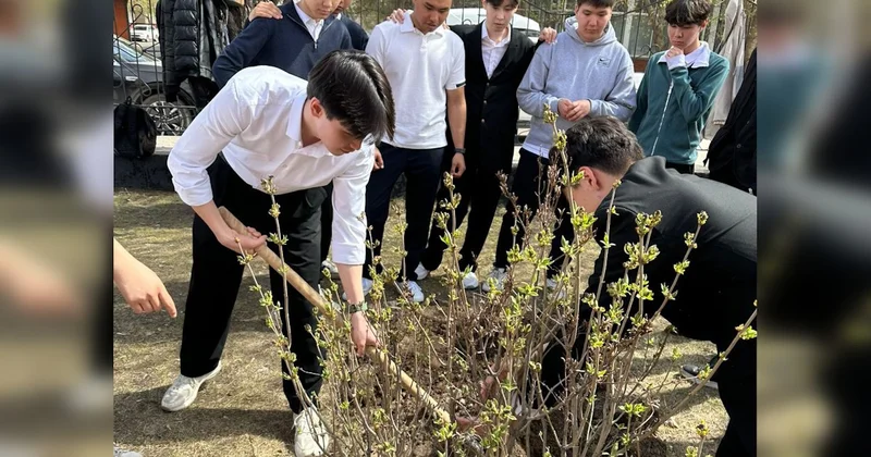 Сирень на память