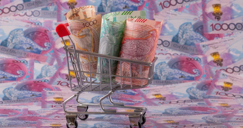 Зейнетақы жинақтарын мерзімінен бұрын алу Ұлттық банк жеткіліктілік шегі бойынша өз ұстанымын білдірді