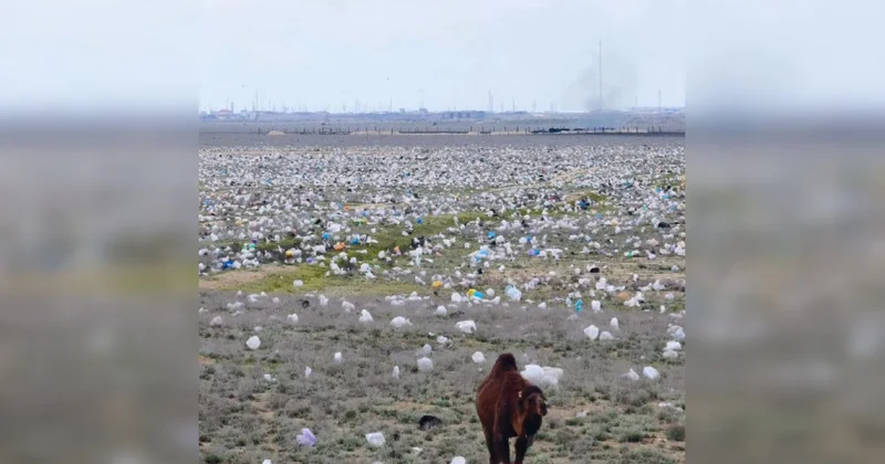 Степь в Мангистау очистили от мусора после скандальных кадров (ВИДЕО)