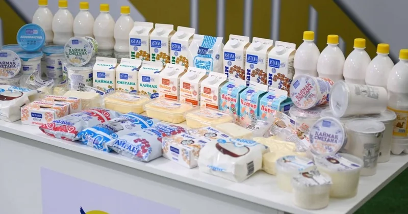 Солтүстік Қазақстан сүт кластерін дамытуда көш бастап келеді