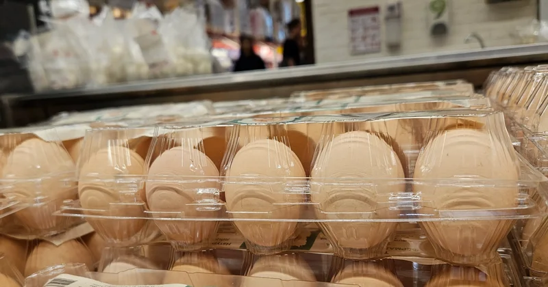 Жұмыртқа бағасын арзандату ұсынысы неге қолдау таппады министрлік түсіндірмесі