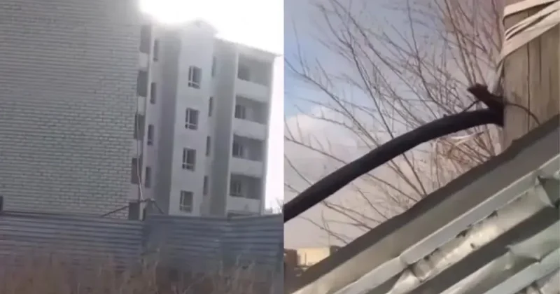 Троих детей ударило током рядом со школой в Темиртау