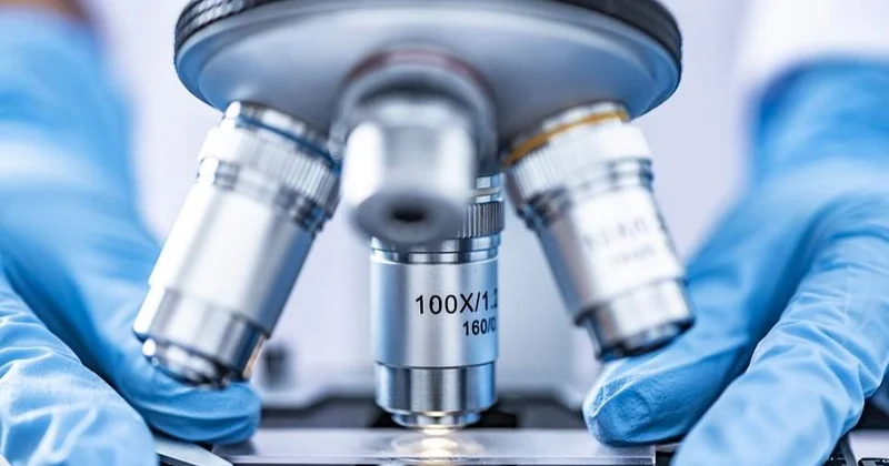 2017 жылы жоғалған азаматтың жеке басы ДНҚ арқылы анықталды