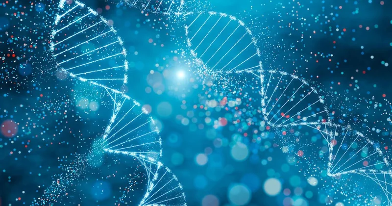 ​9 жыл бұрын жоғалған Семей тұрғынының сүйегі Қазақстанның басқа жерінен табылды