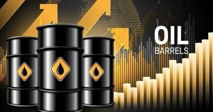 Мамырдан бастап Қазақстан мұнайы Германияға Дружбадан басқа бағыттармен жеткізіледі РФ вице премьері