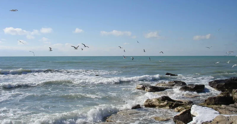 Каспий теңізінің деңгейі 21 метрге дейін төмендеуі мүмкін