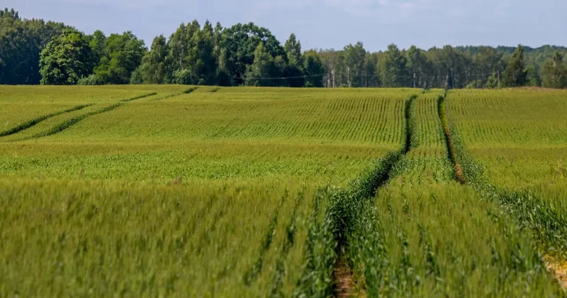 Проект стоимость 2,7 млрд тенге не мог запустить инвестор из за отказа в выдаче земли