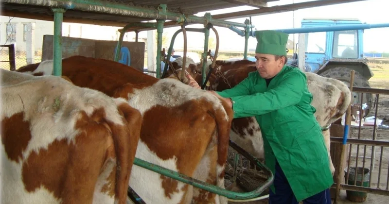 Қазақстанда ветеринария саласындағы өкілеттіктер қайта бөлінеді