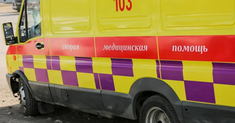 Солтүстік Қазақстан облысында бруцеллёз жұқтыру жағдайлары анықталды