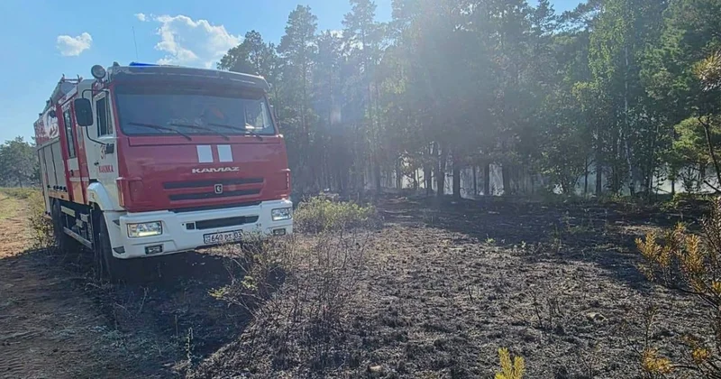Молния подожгла лесную подстилку в Акмолинской области