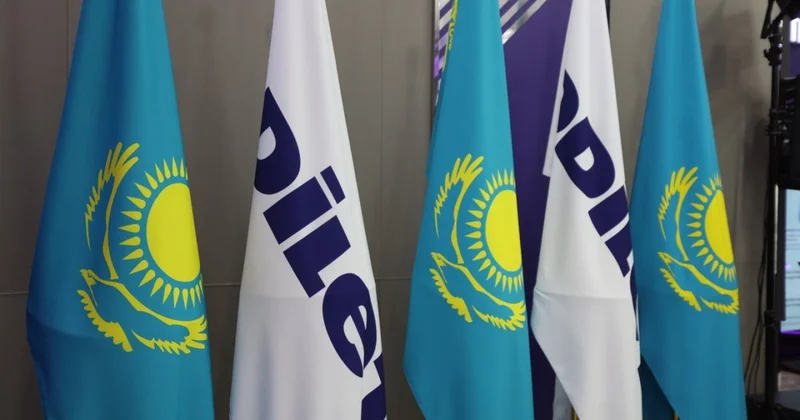 Предвыборная программа партии Әділет : на что обратили внимание эксперты