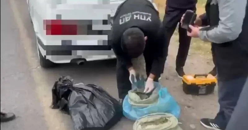 Жамбыл облысында ірі көлемде марихуана тасымалдаған күдіктілер ұсталды