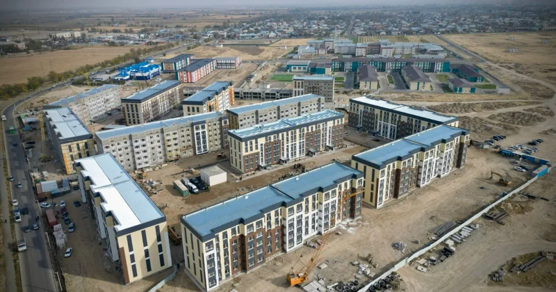 Тотыдай таранған Тараз