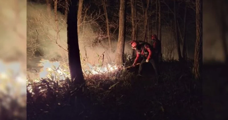 Оңтүстік Кореяда 22 гектар жерді өрт шарпыды