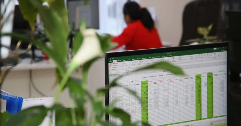 Акция Народный бухгалтер в помощь предпринимателям стартует в Казахстане