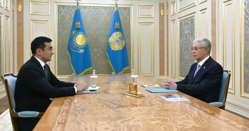 Мемлекет басшысы Бәйтерек ұлттық инвестициялық холдингінің басқарма төрағасы Рустам Қарағойшинді қабылдады