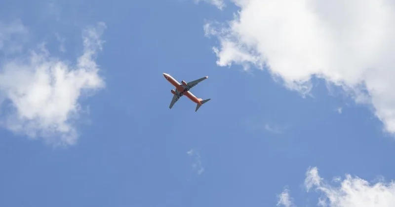 Алматы Бангкок рейсі техникалық себеппен Делиге қонды