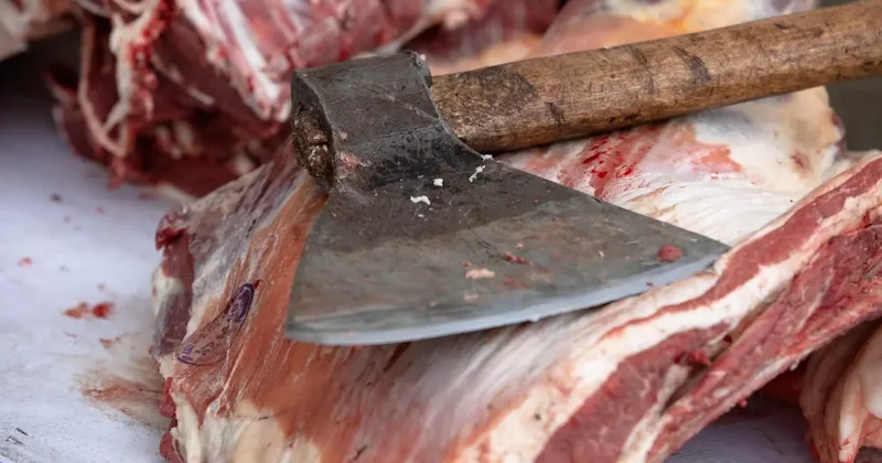 Ограничения на экспорт мяса повлияют на стабилизацию цен Жумангарин