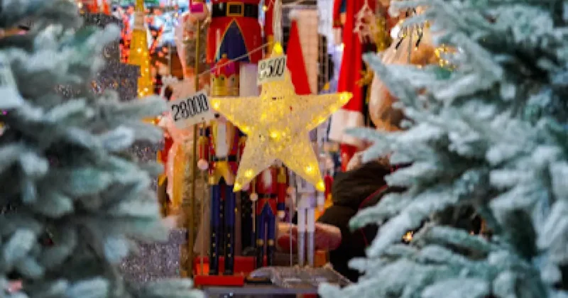 Как выбрать натуральную вечнозелёную к Новому году и где продают писк сезона ёлки половинки