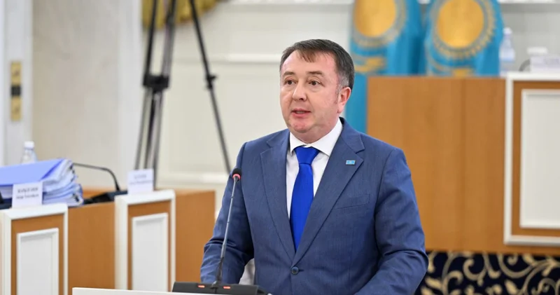 Конституциялық ережелер түсінікті, қисынды және стилистикалық тұрғыдан дұрыс болуы керек Әділет министрі