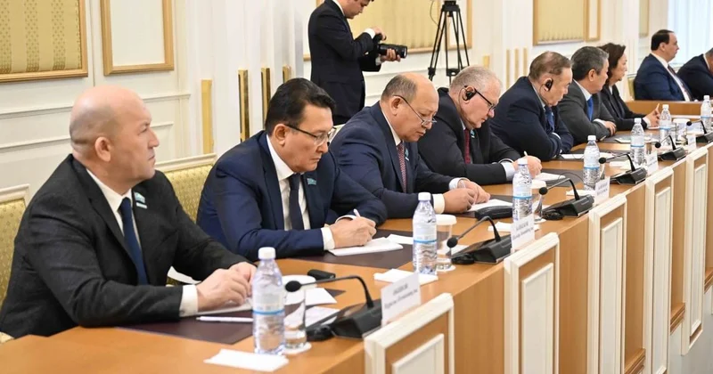 Сколько депутатов могут войти в новый однопалатный парламент