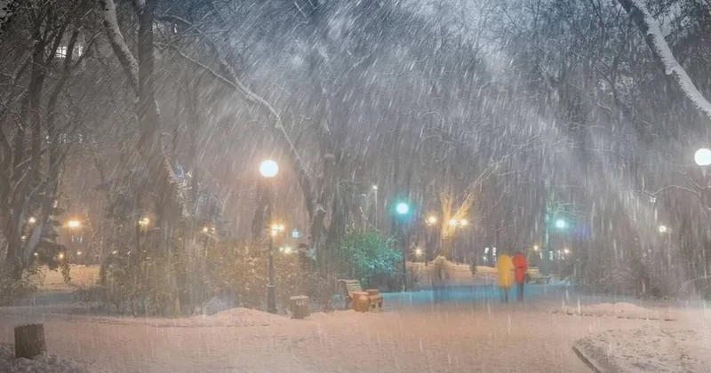 Пустые полки в магазинах и подорожание газа: США готовятся к мощному шторму