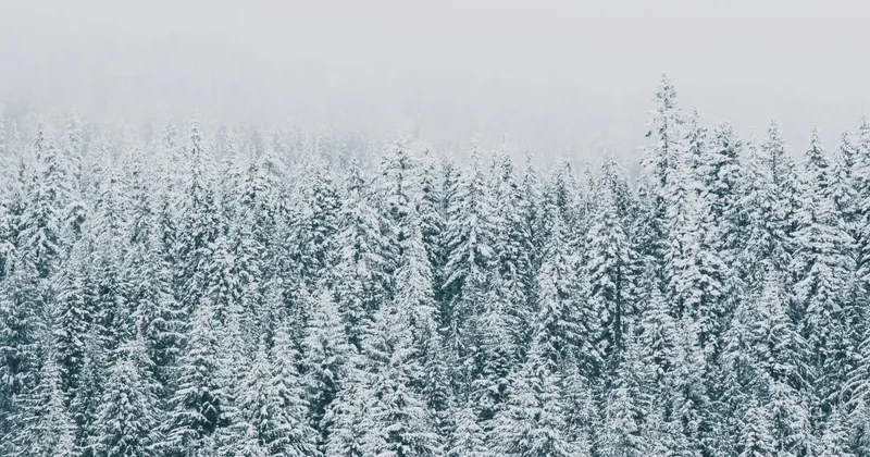 Прогноз погоды на 25 января: морозы до −35 и снег с дождём ожидаются в Казахстане