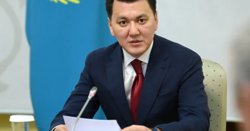 Мемлекеттік кеңесші: Конституциялық реформаға қатысты түпкілікті шешім жалпыхалықтық референдумда қабылданады