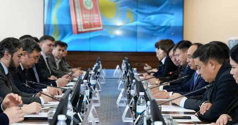 Ата заң жобасы туралы ғалымдар пікірі