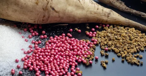 Казахстан увеличил производство новых сортов семян