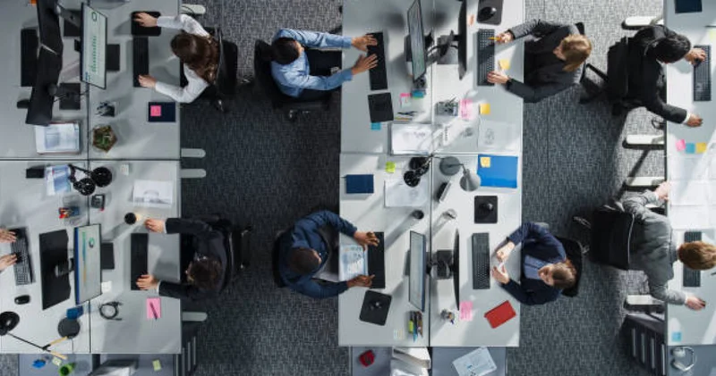 Биыл 547 мың адам жұмыспен қамтылады Үкіметте маңызды шешімдер қабылданды