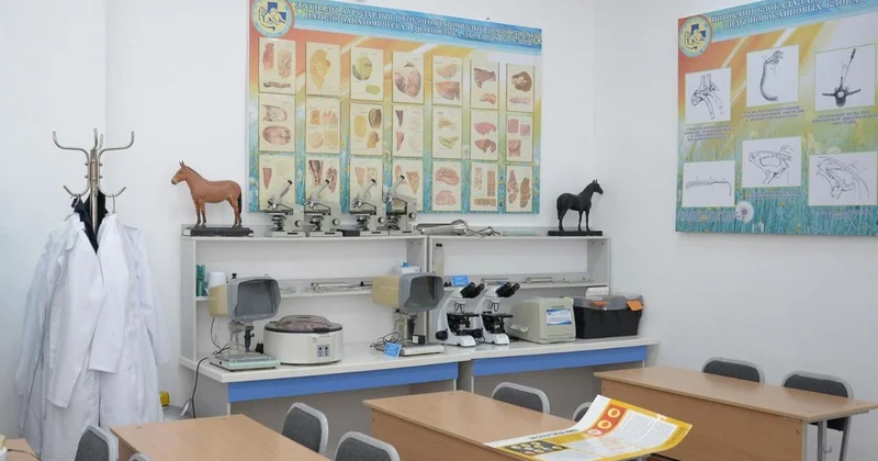 Қазақ аграрлық зерттеу университетінің 5 жылдық даму бағдарламасы бекітілмек