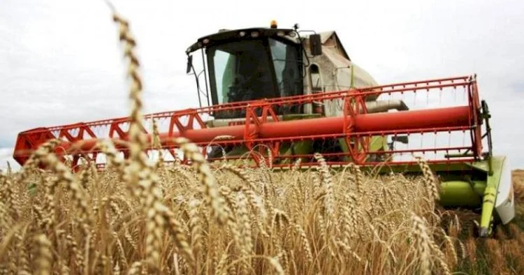 Көктемгі егін егу және жинау жұмыстарына қанша қаржы бөлінеді?