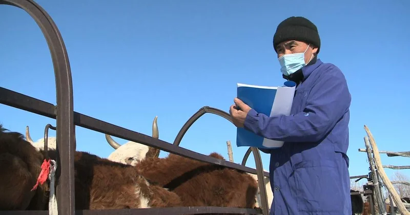 30 мың жалған екпе: Ауыл шаруашылығы министрі саладағы кемшіліктерді мойындады