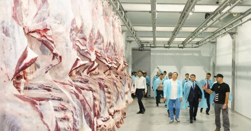 Ауыл шаруашылығы министрлігі сиыр етінің экспортына тыйым салу жөніндегі ақпаратты жоққа шығарды
